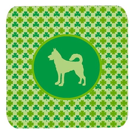 Carolines Treasures Canaan Dog Lucky Shamrock Foam Coasters- Set of 4 SDK1123-C-FC